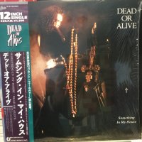 Dead Or Alive / Something In My House