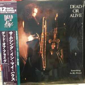 画像1: Dead Or Alive / Something In My House