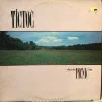 Tictoc / Where The Picnic Was