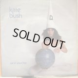 Kate Bush / Sat In Your Lap.