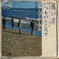 シャープ・ホークス / 遠い渚 