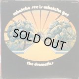The Dramatics / Whatcha See Is Whatcha Get