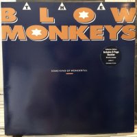 The Blow Monkeys / Some Kind Of Wonderful 