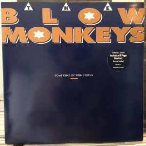 画像1: The Blow Monkeys / Some Kind Of Wonderful 