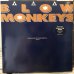 画像1: The Blow Monkeys / Some Kind Of Wonderful  (1)