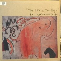 Graham Coxon / The Sky Is Too High