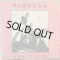 Nirvana / Foretaste