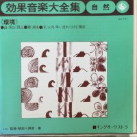 VA / 効果音大全集：自然：環境