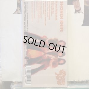 画像2: 少年ナイフ / Brown Mushrooms