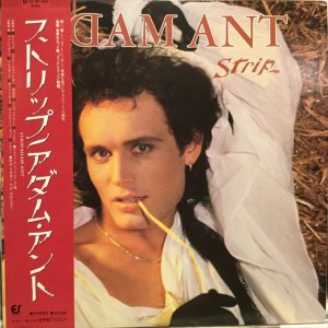 画像1: Adam Ant / Strip