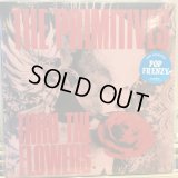The Primitives / Thru The Flowers