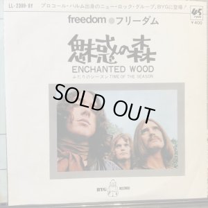 画像1: Freedom / Enchanted Wood