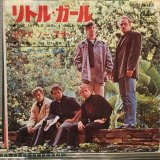 The Beach Boys / The Little Girl I Once Knew