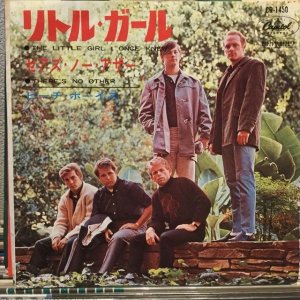 画像1: The Beach Boys / The Little Girl I Once Knew