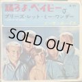 The Beach Boys / Do You Wanna Dance?