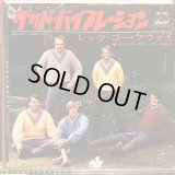 The Beach Boys / Good Viberation