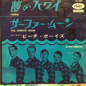 画像1: The Beach Boys / Hawaii