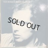 Van Morrison / Into The Music