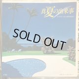 ヒラヤマ・ミキ＆Modokees / 真夏の出来事