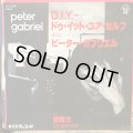 Peter Gabriel / D.I.Y. 