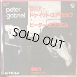 Peter Gabriel / D.I.Y. 