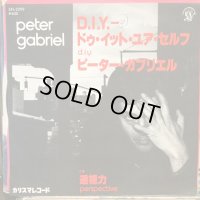 Peter Gabriel / D.I.Y. 