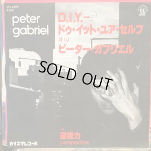 画像1: Peter Gabriel / D.I.Y. 