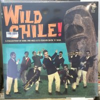 VA / Wild Chile !