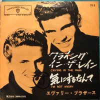 The Everly Brothers / Crying In The Rain