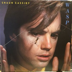 画像1: Shaun Cassidy / Wasp