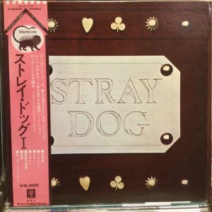 画像1: Stray Dog / Stray Dog