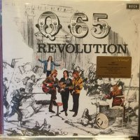Q65 / Revolution