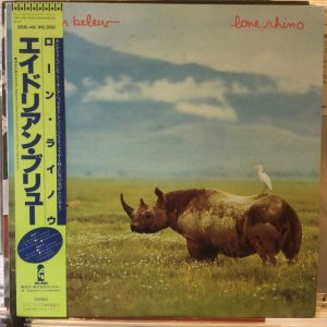 画像1: Adrian Belew / Lone Rhino