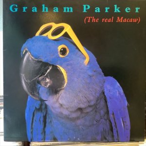 画像1: Graham Parker / The Real Macaw