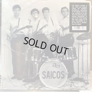 画像1: Los Saicos / Demolicion