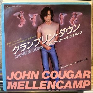 画像1: John Cougar Mellencamp / Crumblin' Down