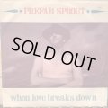 Prefab Sprout / When Love Breaks Down
