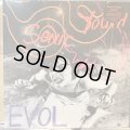 Sonic Youth / Evol