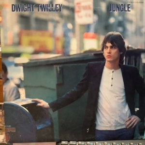 画像1: Dwight Twilley / Jungle