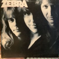Zebra / Zebra