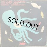The Cure / Quadpus