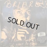 Briard / I Really Hate Ya