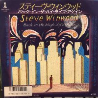Steve Winwood / Back In The High Life Again