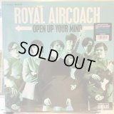 Royal Aircoach / Open Up Your Mind