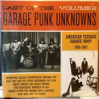 VA / Last Of The Garage Punk Unknowns Volume 2