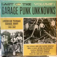 VA / Last Of The Garage Punk Unknowns Volume 1