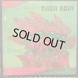 Dana Buoy / Experiments In Plant Based Music Vol. 1