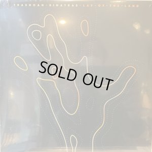 画像1: Trashcan Sinatras / Lay Of The Land