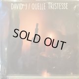 David J / Quelle Tristesse