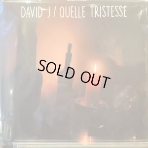 画像1: David J / Quelle Tristesse